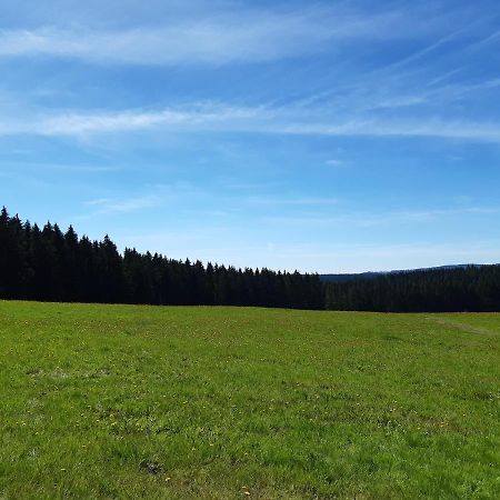 Ferienwohnung Rieger Braunlage Exterior foto