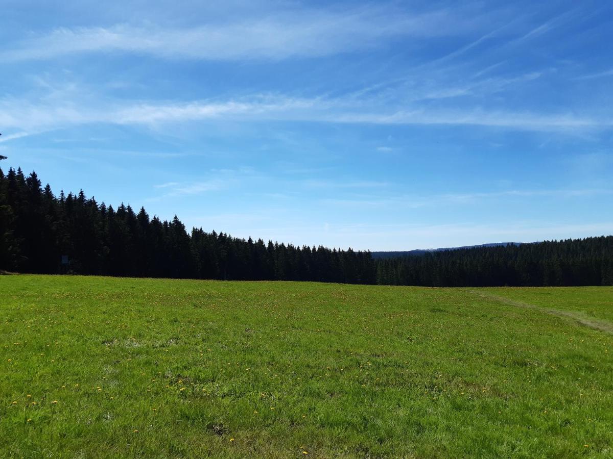 Ferienwohnung Rieger Braunlage Exterior foto